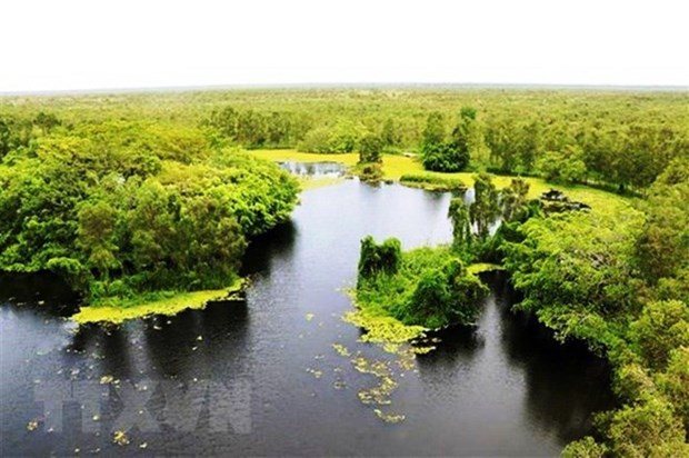 Pour developper l'ecotourisme dans le parc national d'U Minh Thuong hinh anh 1