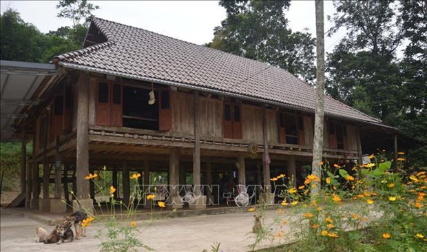 Conservation des maisons traditionnelles sur pilotis de l'ethnie Muong hinh anh 1