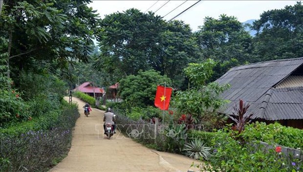 Conservation des maisons traditionnelles sur pilotis de l'ethnie Muong hinh anh 2