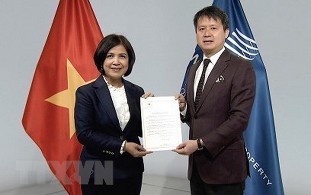Le Vietnam adhere au Traite de l'OMPI sur les interpretations et executions et les phonogrammes hinh anh 1