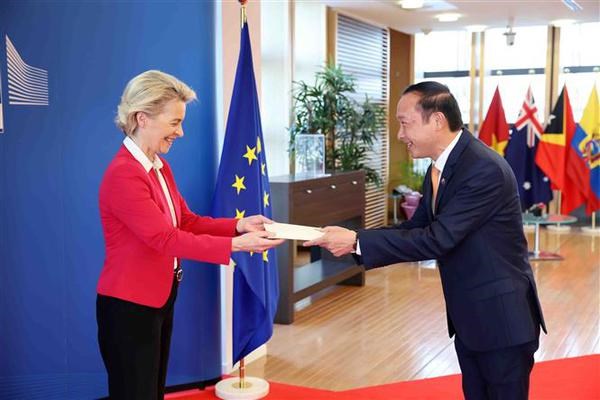 L'UE prend en haute consideration le role et la position du Vietnam hinh anh 2