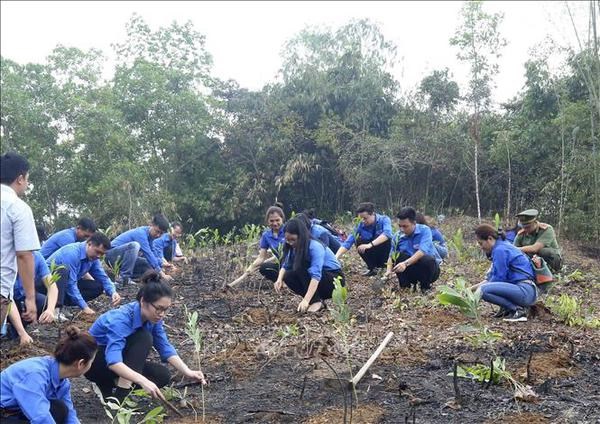 Planter un milliard d'arbres pour un Vietnam vert hinh anh 1