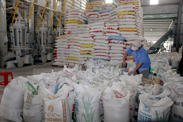 Le Vietnam exporte 1,7 million de tonnes de riz au premier trimestre hinh anh 2