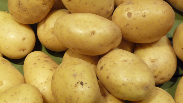 Vietnam: Marche potentiel pour les pommes de terre neo-zelandaises hinh anh 1