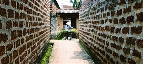 Cinq villages anciens celebres du Vietnam hinh anh 1