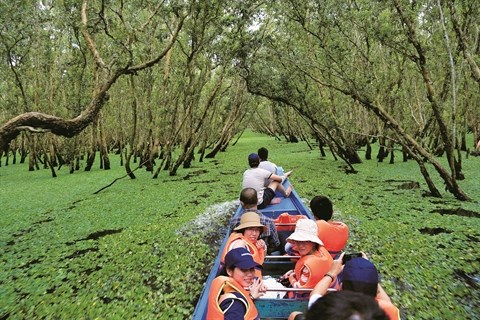 Decouvrez le delta du Mekong durant la saison des pluies hinh anh 1