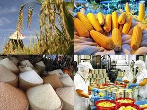 Le Vietnam promeut ses exportations de produits agricoles vers Singapour hinh anh 1