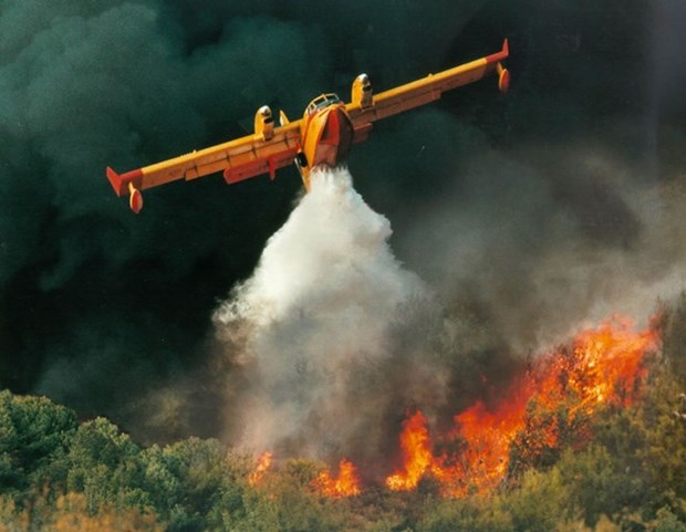 L'Indonesie verse des millions de dollars pour resoudre les incendies forestiers hinh anh 1