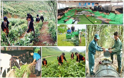 FAO et le Vietnam, cote a cote dans la lutte contre la pauvrete hinh anh 1