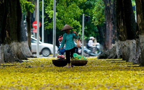En automne, Hanoi devoile son charme hinh anh 1