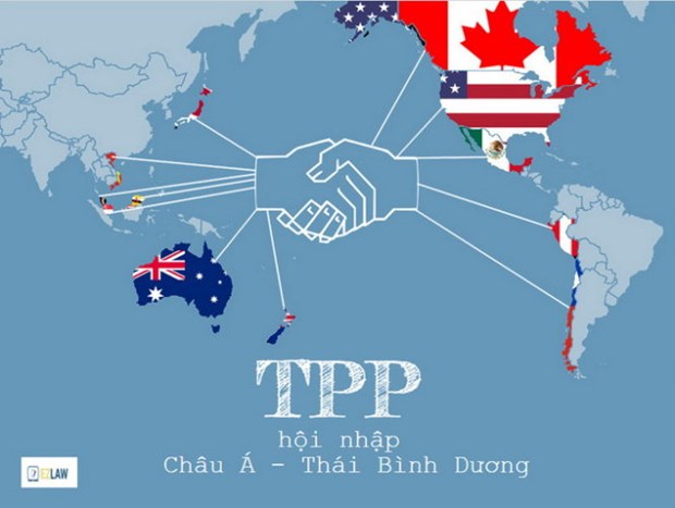 Le TPP donnera un nouvel essor a l'immobilier du Vietnam hinh anh 1