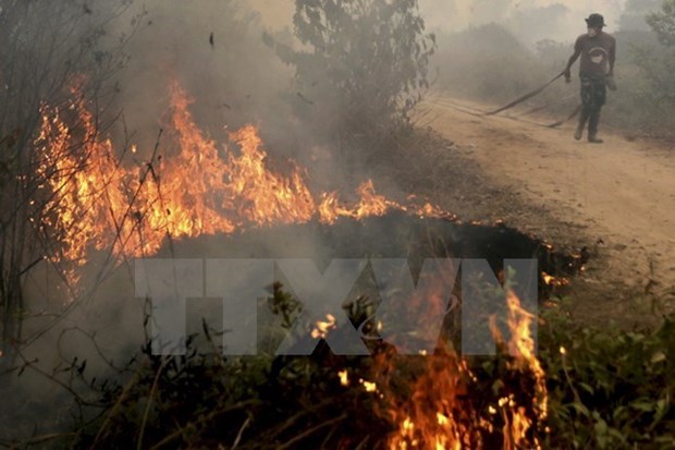 Incendies en Indonesie : le nombre de « points chauds » a diminue hinh anh 1