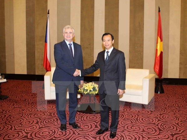 Le president du Senat tcheque Milan Stech visite la ville de Da Nang hinh anh 1