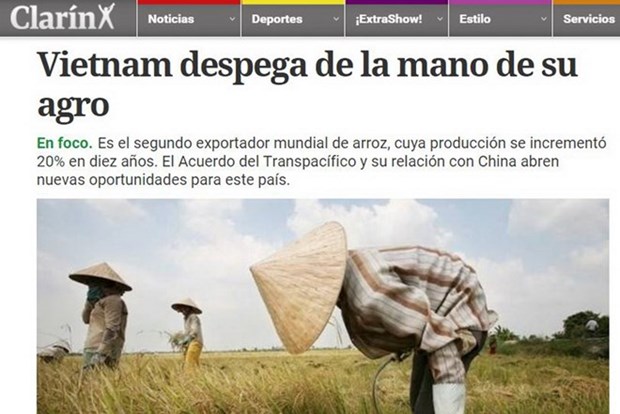 Le journal argentin Clarin salue les acquis agricoles du Vietnam hinh anh 1