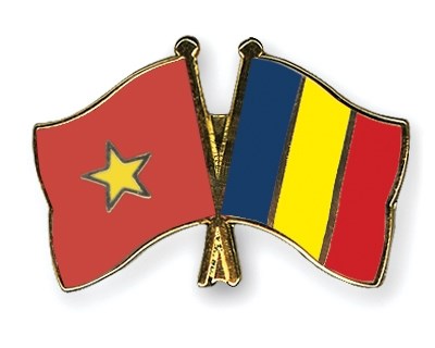 La Fete nationale de la Roumanie celebree a Ho Chi Minh-Ville hinh anh 1