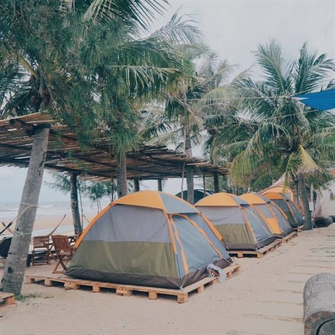Tourisme : le camping a la plage, une nouveaute a decouvrir hinh anh 1