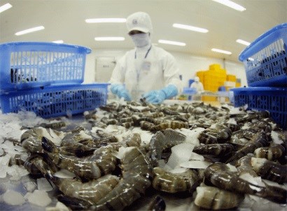 Previsions optimistes pour l'exportation des crevettes en 2016 hinh anh 1