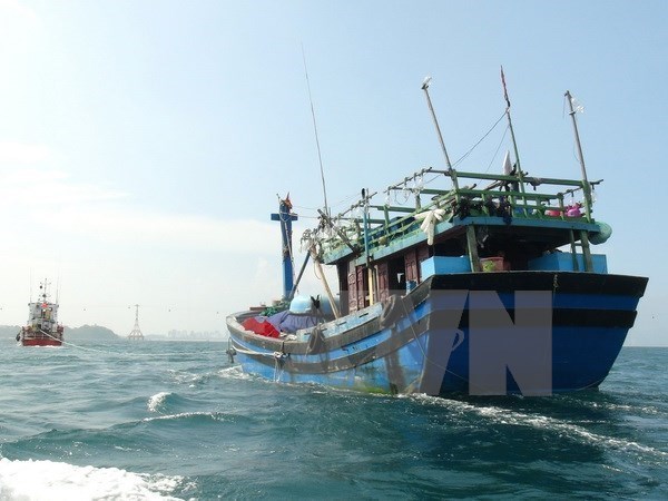 Quang Binh : sauvetage d'un Chinois sinistre en mer hinh anh 1