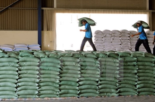 Bond des exportations nationales de riz en janvier hinh anh 1
