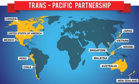 Le TPP, 12 pays, 40% de l'economie mondiale hinh anh 1