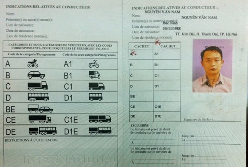 Ho Chi Minh-Ville delivre le permis de conduire international hinh anh 1