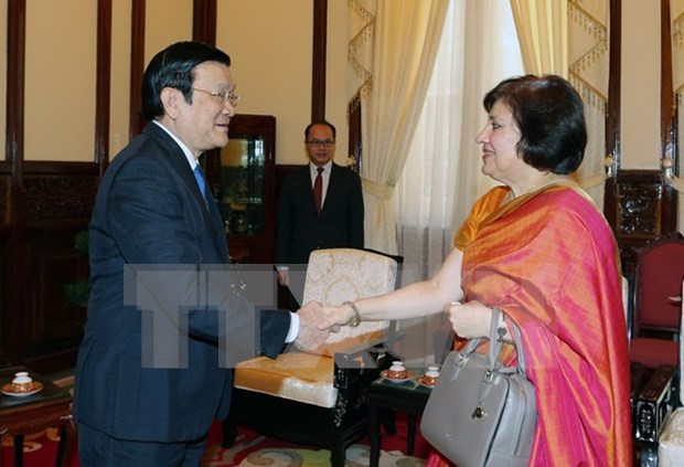 Le president Truong Tan Sang promeut le developpement des relations Vietnam-Inde hinh anh 1