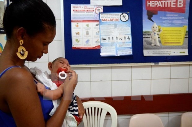 Philippines: premier cas de virus Zika depuis 2012 hinh anh 1