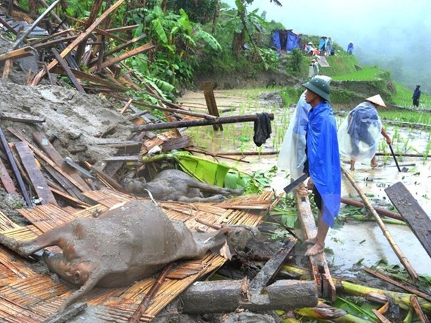Renforcer la gestion du risque des catastrophes naturelles dans le delta du Mekong hinh anh 1