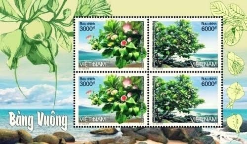 Emission d’un ensemble de timbres sur un arbre emblematique de Truong Sa hinh anh 1