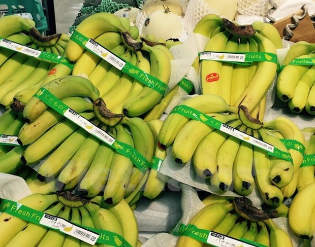 Les bananes vietnamiennes font leur entree sur le marche japonais hinh anh 1