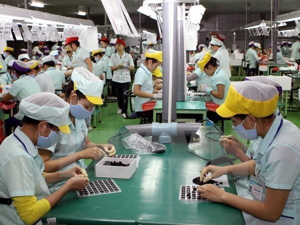 Vietnam-Laos : cooperation renforcee dans l'emploi hinh anh 1