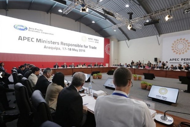 Les ministres du Commerce de l’APEC au Perou pour discuter libre-echange hinh anh 1
