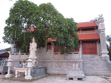 Cuong Xa - la pagode millenaire a Hai Duong hinh anh 1