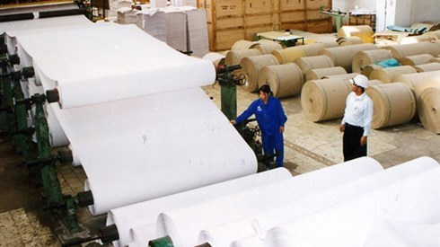 Croissance continue des exportations de papier hinh anh 1