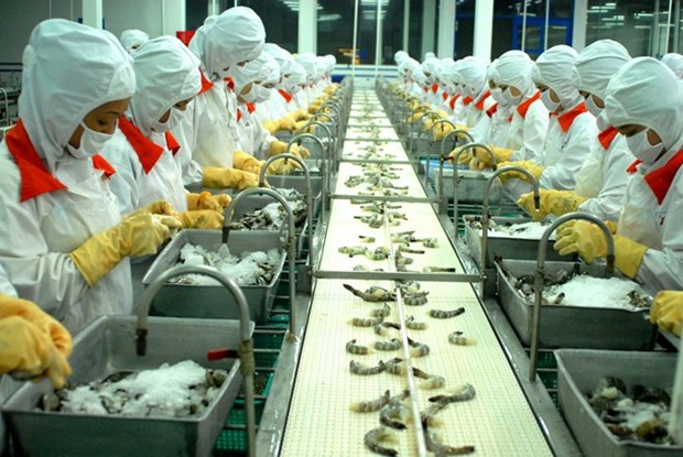 Developpement d’une chaine de valeur durable dans la production de crevettes hinh anh 1
