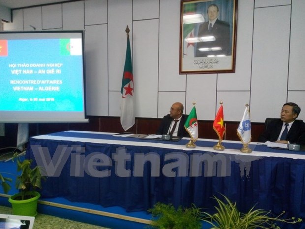 Des hommes d'affaires vietnamiens evaluent leurs opportunites en Algerie hinh anh 1