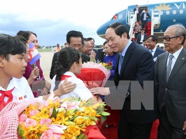 Le president du Vietnam en visite d’Etat au Cambodge hinh anh 1
