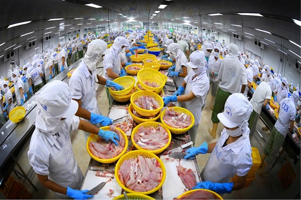 L’avenir se degage pour les exportations nationales de poissons «tra» aux Etats-Unis hinh anh 1