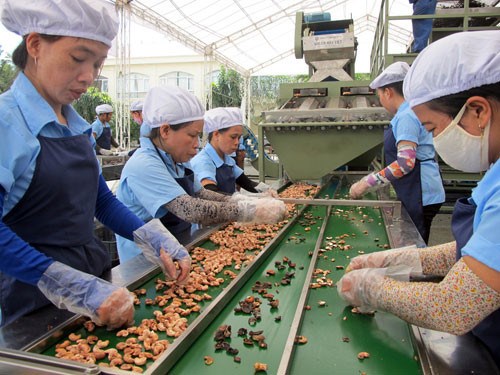 Commerce equitable : d’enormes opportunites pour les produits agricoles vietnamiens en UE hinh anh 1