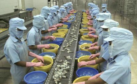 5 mois: les Etats-Unis, premier consommateur de crevettes vietnamiennes hinh anh 1