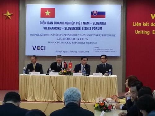 Vietnam et Slovaquie intensifient leur cooperation economique hinh anh 1