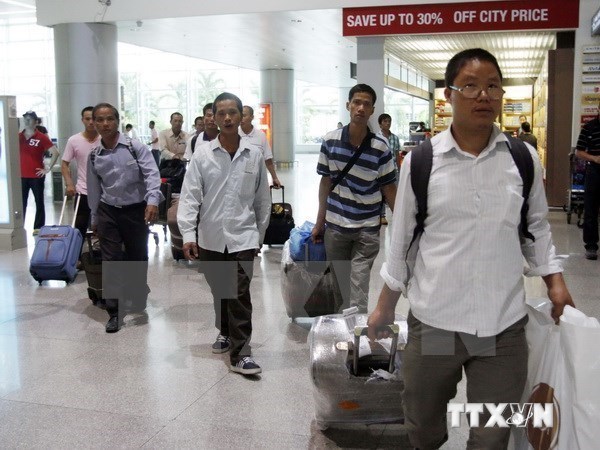 Renforcement de la protection des droits des travailleurs vietnamiens a l’etranger hinh anh 1