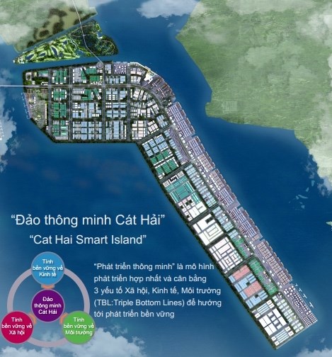 Cat Hai deviendra «une ile intelligente» hinh anh 1