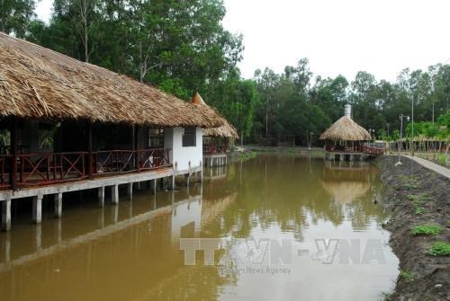 Hau Giang : developpement de produits du tourisme ecologique hinh anh 1