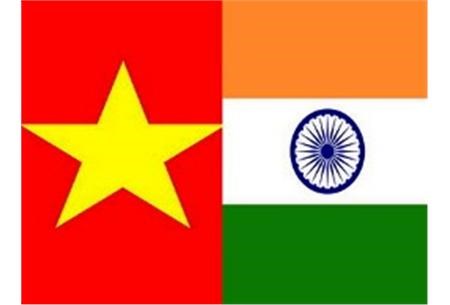 Colloque international «Vietnam-Inde : Nouveau contexte, nouvelle vision» hinh anh 1