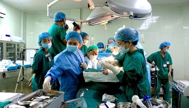 L’hopital Cho Ray reussit sa 500e transplantation renale hinh anh 1