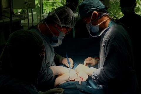 Succes d’un acte chirurgical rarissime a Ho Chi Minh-Ville hinh anh 1