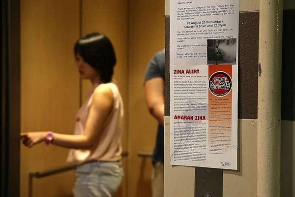 Zika : Singapour denombre 27 nouveaux cas d'infection hinh anh 1