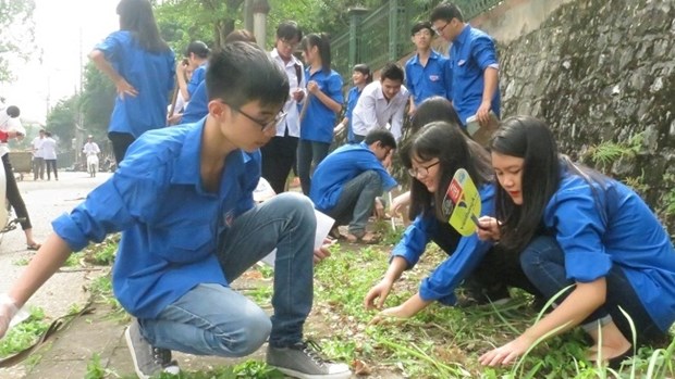 Yen Bai fait echo a la campagne «Rendre le monde plus propre» hinh anh 1