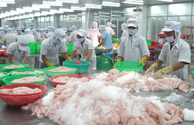 Tien Giang : exportations en hausse de 14,6% hinh anh 1